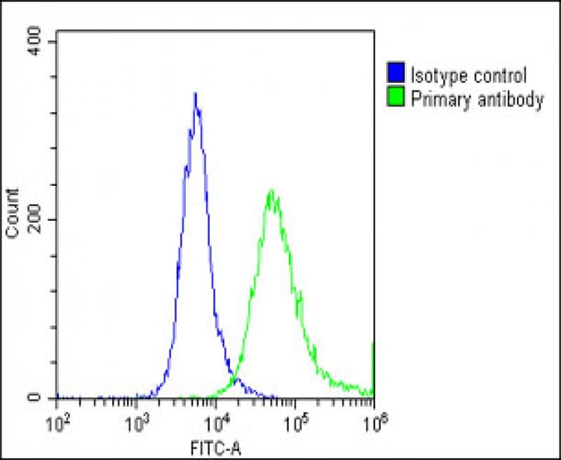 GNG3 Antibody (C-Terminus)