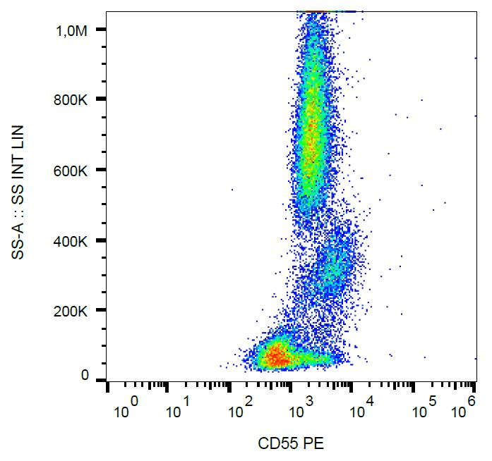 CD55 Antibody (clone MEM-118, PE)