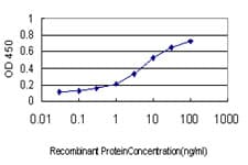 NDUFA9 Antibody (clone 3D7)