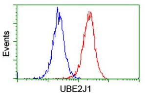 UBE2J1 Antibody (clone OTI3E6)
