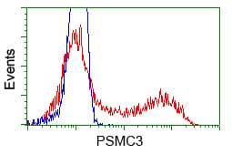 PSMC3 Antibody (clone OTI10D12)