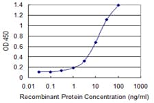 IHC-plus™ Monoclonal Mouse anti-Human PCF11 Antibody (clone 3G4, IHC, WB)