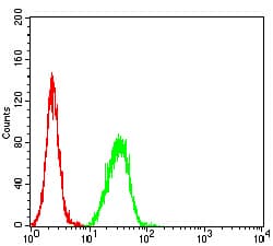 Monoclonal Mouse anti-Toxoplasma gondii TRAG3 / CSAG2 Antibody (clone 1D12B8, WB)