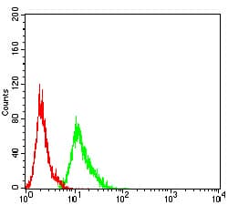 AEBP2 Antibody (clone 2D7B6)