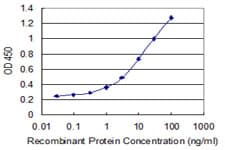 Monoclonal Mouse anti-Human Histone H4 Antibody (clone 6D4, IF)
