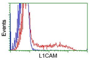 L1CAM Antibody (clone OTI2A5)