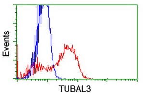 TUBAL3 Antibody (clone OTI1D7)
