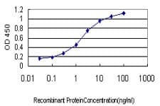 Monoclonal Mouse anti-Human UBE2E2 / UBCH8 Antibody (clone 4B4, IF, WB)