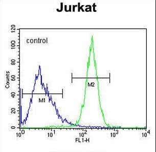CWC22 Antibody (aa16-45)