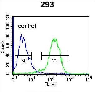 CD105 Antibody (aa265-294)