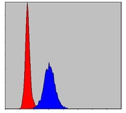 MMP9 / Gelatinase B Antibody (clone 5G3)