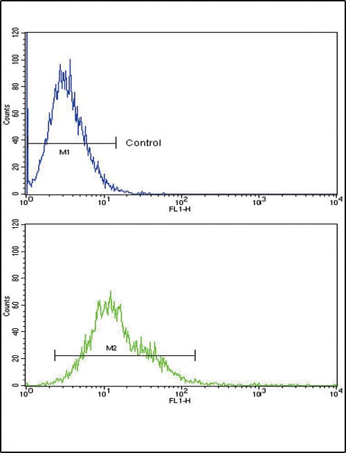 RAC2 Antibody (aa164-188)