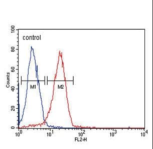 CD44 Antibody (clone Hermes-3)