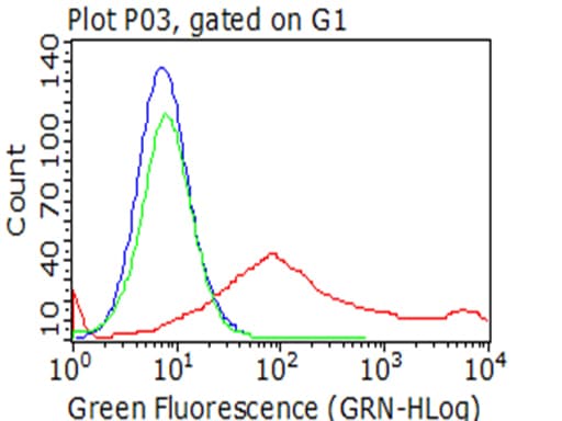 HAVCR2 / TIM-3 Antibody (clone OTI1D10)