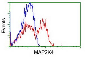 MAP2K4 / MKK4 Antibody (clone OTI4B4)