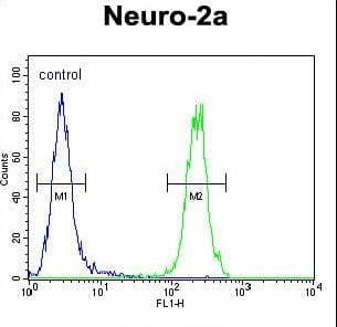 Polyclonal Rabbit anti-Human MAF1 Antibody (aa90-117, IHC, WB)