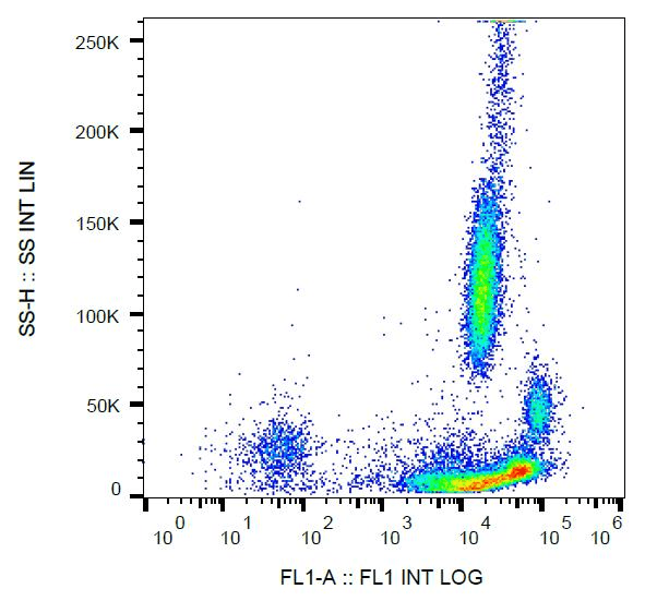 Monoclonal Mouse anti-Human B2M / Beta 2 Microglobulin Antibody (clone B2M-01, FITC, IHC, WB)