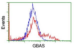 GBAS Antibody (clone OTI1D6, Carrier-free)