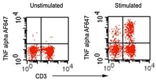 Monoclonal Mouse anti-Human TNF Alpha Antibody (clone 6N1E7, Azide-free, WB)
