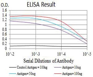 CHRNA5 Antibody (clone 8F11G8)