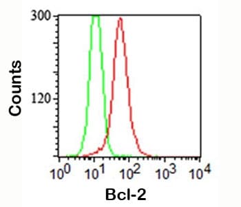 IHC-plus™ BCL2 / Bcl-2 Antibody (clone 100/D5, Azide-free, BSA-free)