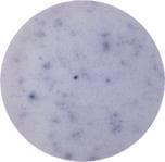 IL4 Antibody (clone 11B11)