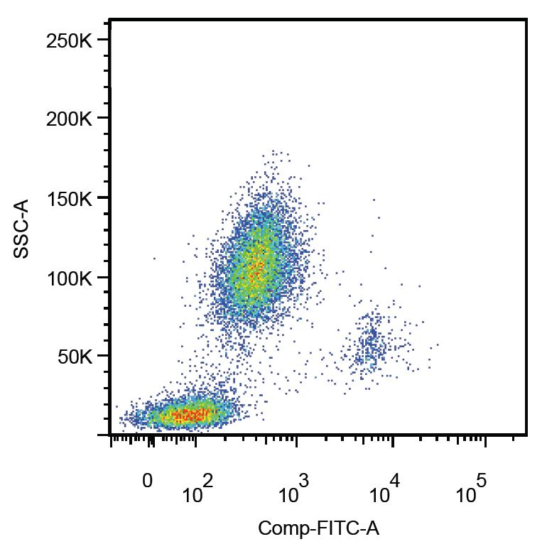 CD14 Antibody (aa57-64, clone MEM-18, FITC)