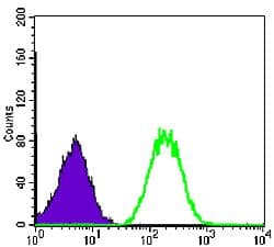 BLNK Antibody (clone 5G9)