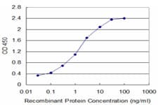 I-BABP / FABP6 Antibody (clone 4A4)