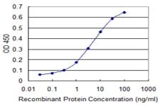 IHC-plus™ Monoclonal Mouse anti-Human MAG Antibody (clone 3C7, IHC, WB)