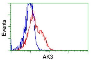 Monoclonal Mouse anti-Human AK3 / Adenylate Kinase 3 Antibody (clone OTI3G1, IHC, IF, WB)