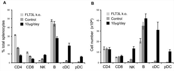 Human FLT3LG / Flt3 Ligand Protein (Recombinant Human IgG1 Fc)