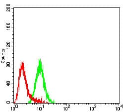 CHRND Antibody (clone 1H1F9)
