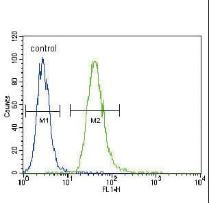 TNFRSF1A / TNFR1 Antibody (aa252-281)