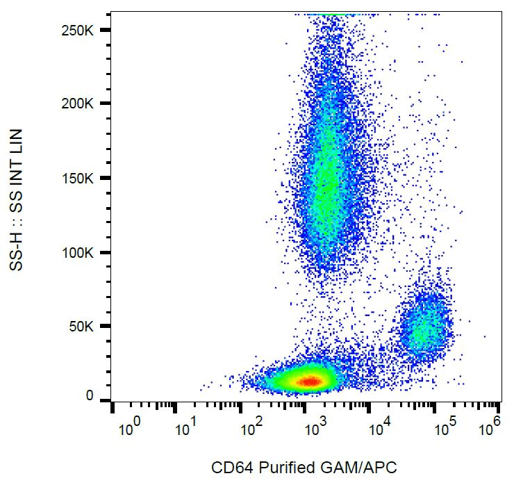 FCGR1A / CD64 Antibody (clone 10.1)