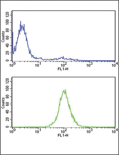 TPI1 / TPI Antibody (aa68-96)