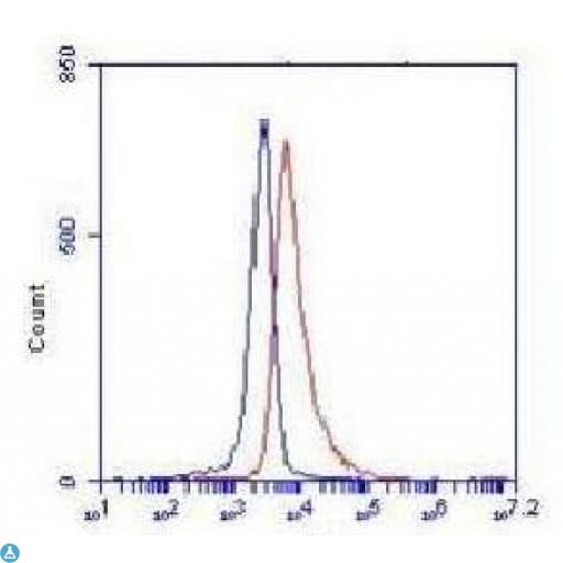 HK2 / Hexokinase 2 Antibody