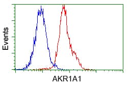 Monoclonal Mouse anti-Human AKR1A1 Antibody (clone OTI8H2, IHC, WB)