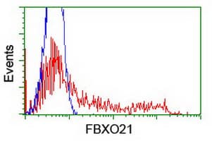 FBXO21 Antibody (clone OTI5H4)
