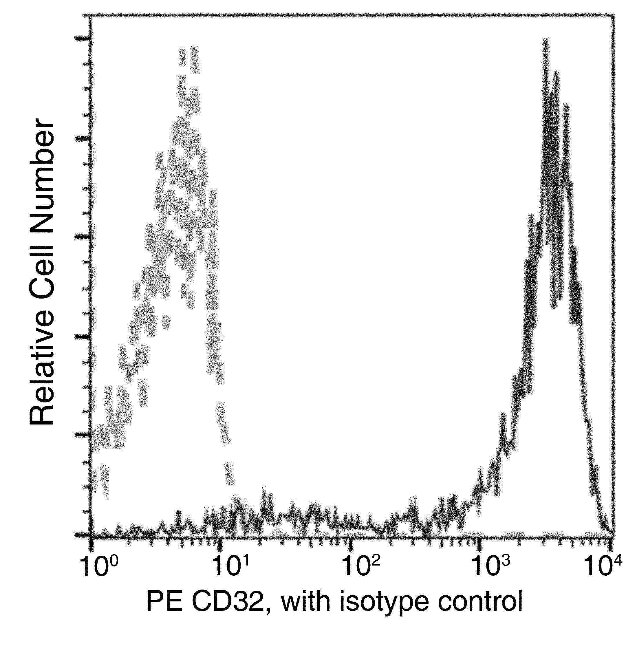 CD32B Antibody (clone 046, PE)