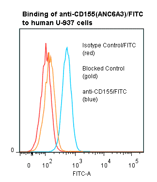 Monoclonal Mouse anti-Human PVR / CD155 Antibody (clone ANC6A3, FITC)