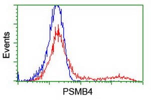 PSMB4 Antibody (clone OTI7B4, Carrier-free)
