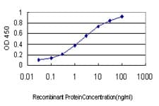 RNF141 Antibody (clone 6D9)