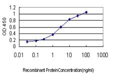 ST3GAL2 Antibody (clone 1E12)