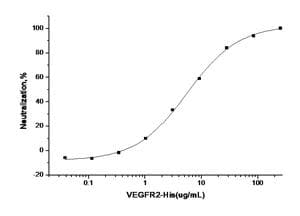 Human KDR / VEGFR2 / FLK1 Protein (Recombinant His,C-terminus)