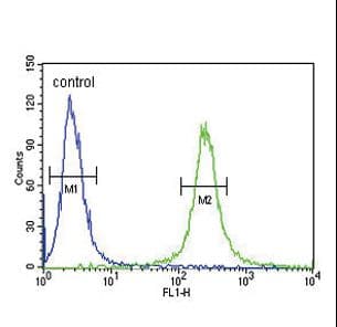 Polyclonal Rabbit anti-Human VLDLR Antibody (aa484-510, IHC, WB)