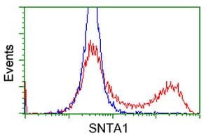 SNTA1 / Syntrophin Alpha 1 Antibody (clone 2.00E+12, Carrier-free)