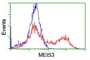 MEIS3 Antibody (aa1-261, clone OTI3E12, Carrier-free)
