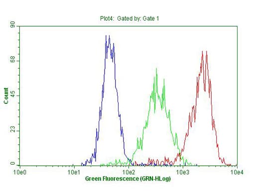 ANP32C Antibody (clone OTI10A10)