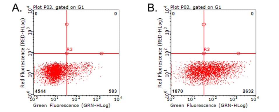 Monoclonal Mouse anti-Human TNFRSF4 / CD134 / OX40 Antibody (clone UMAB277, IHC, WB)